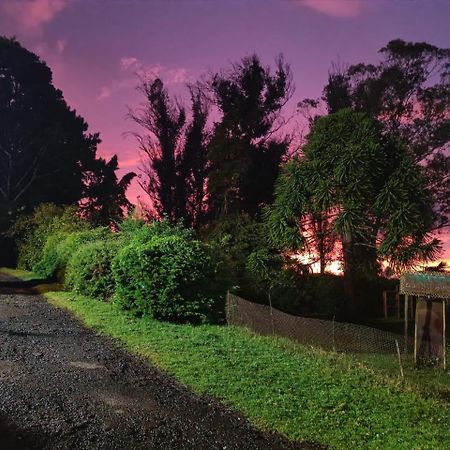 Natures Retreat Hotels And Resorts Ooty Εξωτερικό φωτογραφία